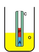 Acrylamide plug